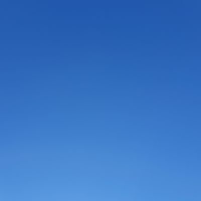 edmomirza's profile picture. 