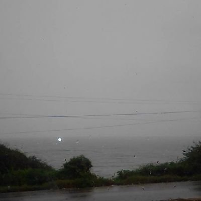 Alejand76832167's profile picture. 