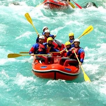 TashiBodh16's profile picture. we will help you to organised your dream travel plans.