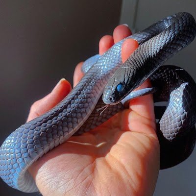 beekayibrahim's profile picture. 