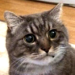 ShitListofDoom's profile picture. When they go too far, there's no where to go but The List.