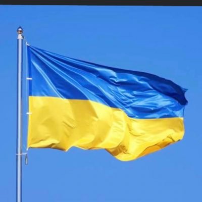 tracydominick's profile picture. 