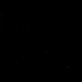 _Lunar11's profile picture. 