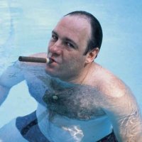 Tony Soprano (@antonysopranoi) 's Twitter Profile Photo