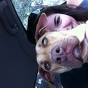 Tara Clement - @TacoClem - Twitter