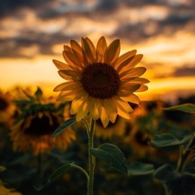 jconley77's profile picture. 