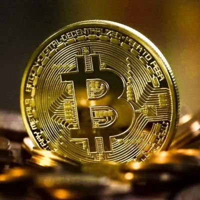 AminS6441's profile picture. Crypto finder