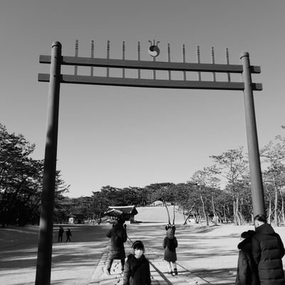 fdragon50's profile picture. S.Korean.