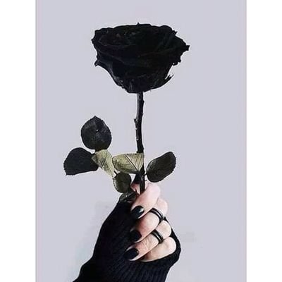 درباً ما آخره جنة ما تمشيهو ..💙🌼
MLS🧪💉
SIU🔥
بت عبد الرحيم💜