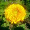 Kuba_Szc's profile picture. I am helping to get through the changes in companies, that want to embrace agility. I am a consultant and advisor with experience in agile since 2009