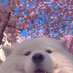 RJ (@22dnsc) Twitter profile photo RJ (@22dnsc) Twitter profile photo