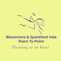 Blackmore & Sparkford Vale P2P(@BSV_P2P) 's Twitter Profile Photo