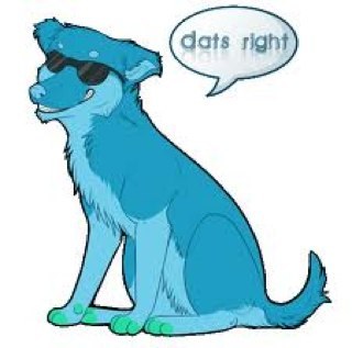 datsright13's profile picture. honey ur as fake as a $3 bill...... life has a time limit use it wisely.