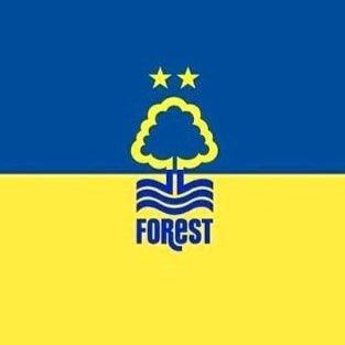 Forest Forever