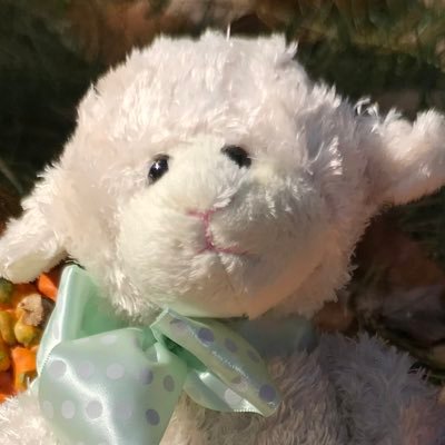 words_are_sheep's profile picture. Common sense advocate. Venn diagram enthusiast. Double-barreled pun slinger. Love photography, food, science, art. Rescue-dog mom. 🌈🏳️‍⚧️ Ally #BLM #VoteBlue