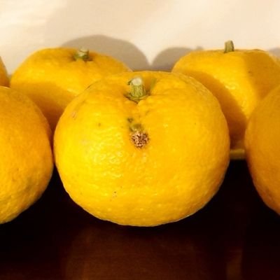 塩むすびさんのプロフィール画像
