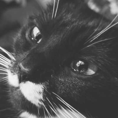 mgr_ph916's profile picture. 20↑ 社不+αだけど推しがいるから生きる 【】自衛推奨 【】 限界ヲタク。雑多のごった煮