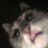 px_btyo's profile image