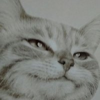 Cassie (@cassiekeith08) 's Twitter Profile