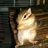 Buitra22's profile image
