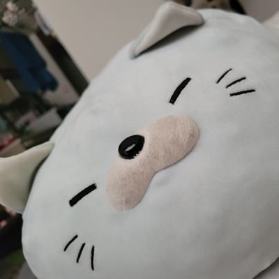 yutamomona4's profile picture. 北の国で社畜やってます
趣味は温泉巡りとぬいぐるみ集め🌟
よろしくオナシャス！