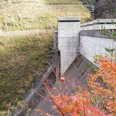 重力式コンクリートダムさんのプロフィール画像