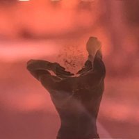 CaptureCharles (@capturecharles) 's Twitter Profile