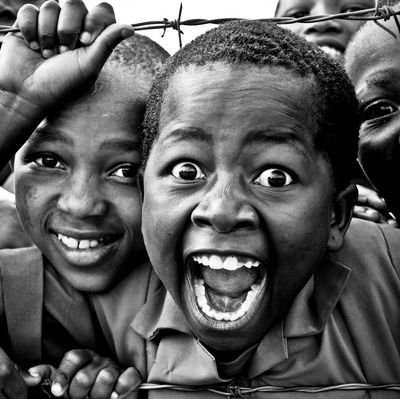 tolugfx's profile picture. Graphics Designer