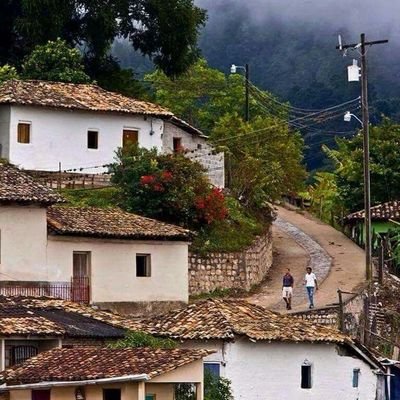 luisalonsomejia's profile picture. 