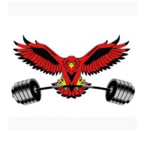 Troy Athens Powerlifting (@troyathenspl) 's Twitter Profile