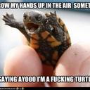 Kelli Kline - @Bubblez_p0p - Twitter