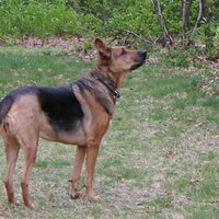 kyle (@52gates) 's Twitter Profile