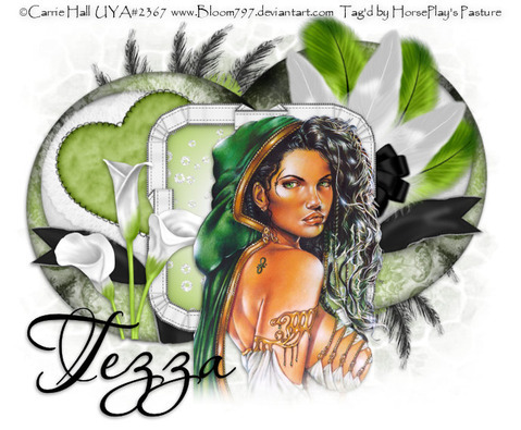 tezzastagscraps's profile picture. I am a digital scrapbooking designer, I have my own online blog, a blinkie and banner custom service blog. I co-own 2 stores and sell in 3 others.