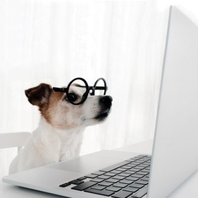 tangible_studio's profile picture. web dev | #a11y | #100devs