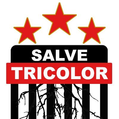 salvetricolor3 Profile Picture