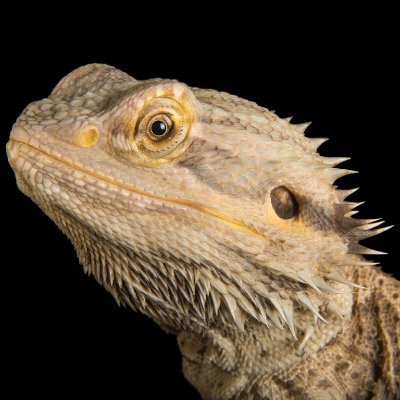 TadCooper20 Profile Picture