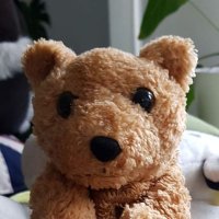 Japp TheBear(@JappTheBear) 's Twitter Profile Photo