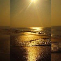 Lucent (Imperial Green Jade) (@lee4flex) Twitter profile photo