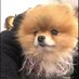 Sirin (@sirin02620473) Twitter profile photo Sirin (@sirin02620473) Twitter profile photo