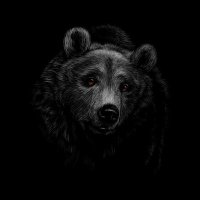 x. (@rexofcrypto) 's Twitter Profile