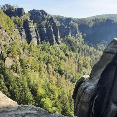 PhilDerSammler's profile picture. 