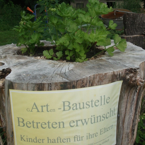 divlinks's profile picture. 