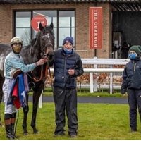 ballinahulla stables (@susanfi78628163) 's Twitter Profile