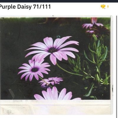 Sager5X's profile picture. To Shine like the Sun, You need to Burn like One