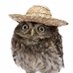Hoots (@kalebthephi) Twitter profile photo Hoots (@kalebthephi) Twitter profile photo