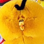 AngryPlushAlert's profile picture. I post supposedly good Angry Birds plush listings for collectors. | Found a good deal? Send it to me in DMs.