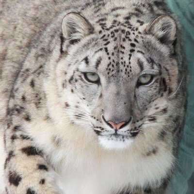 MagaSilva77's profile picture. 