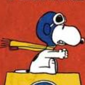 Cheesehead Snoopy 🌻🇮🇱 🇺🇲🇳🇿🇨🇦🇭🇲🇬🇧