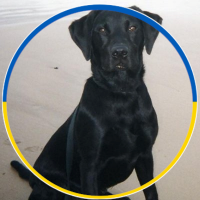 jon watson 🇬🇧❤🇺🇦(@myblue90) 's Twitter Profile Photo jon watson 🇬🇧❤🇺🇦(@myblue90) 's Twitter Profile Photo