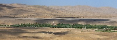 akgoodma's profile picture. amor fati